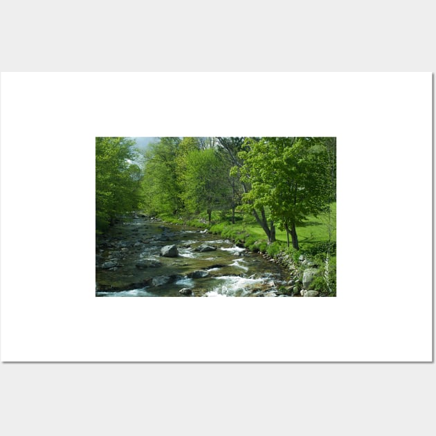 Spring on the Tweed River Wall Art by srwdesign